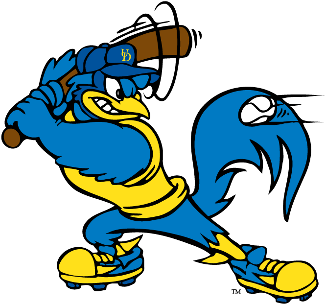 Delaware Blue Hens 1993-Pres Mascot Logo v8 diy DTF decal sticker